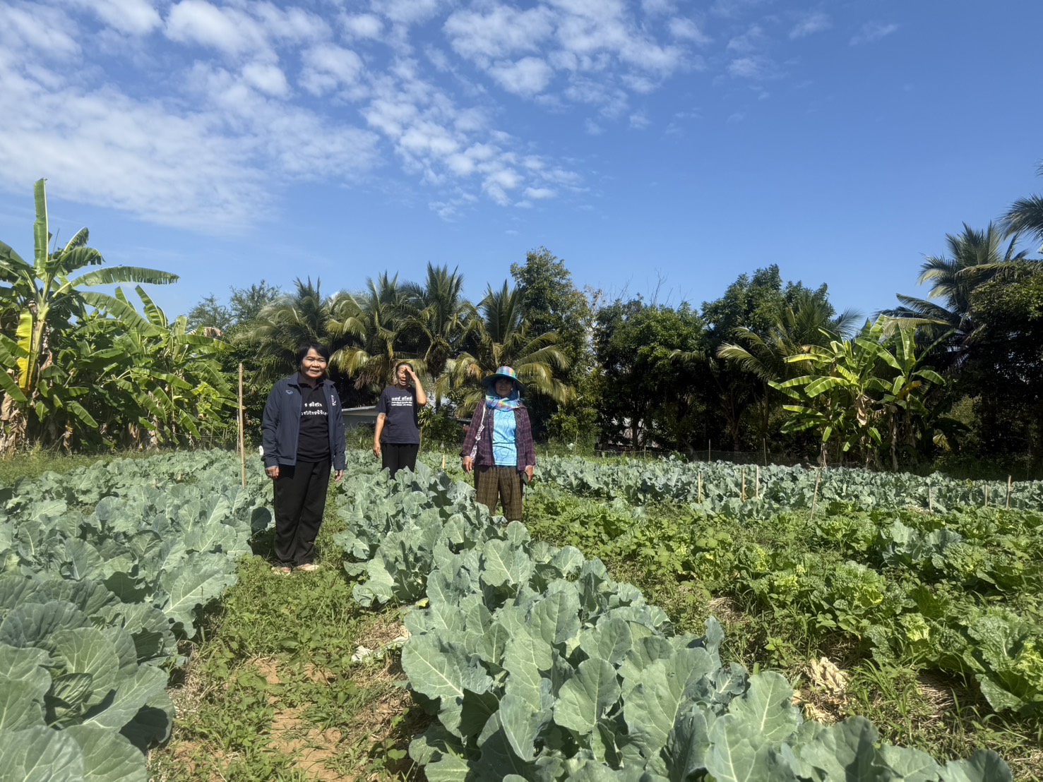 🌺พช.สีชมพู : ขับเคลื่อนกิจกรรม "ผู้นำต้องทำก่อน" ปลูกผักสวนครัว เพื่อสร้างความมั่นคงทางด้านอาหาร