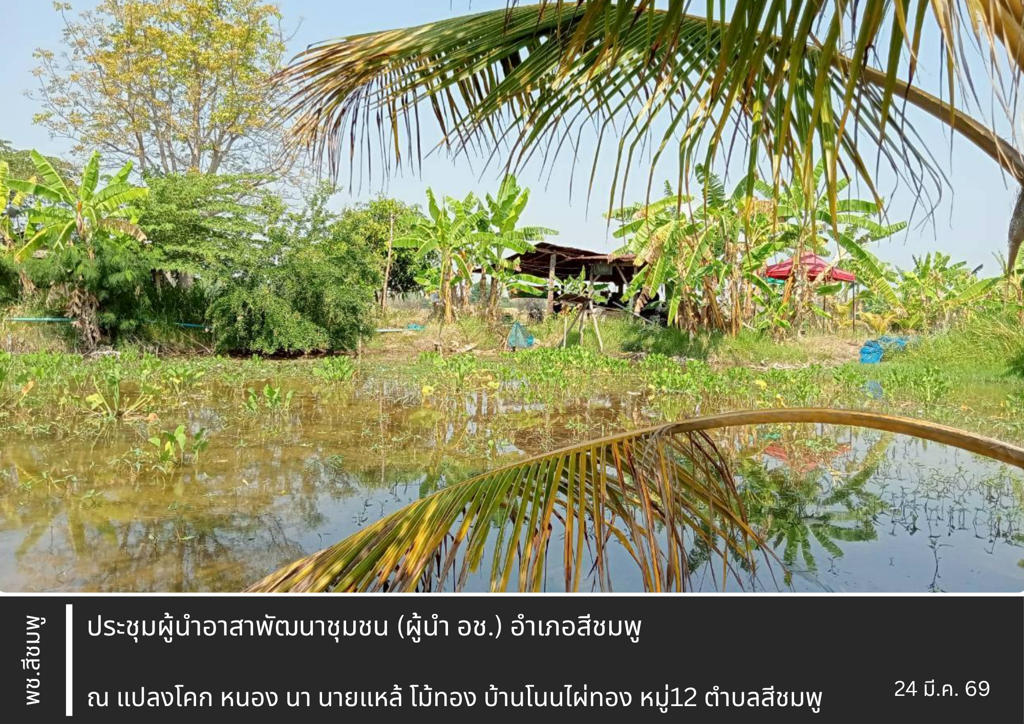 🌺พช.สีชมพู : ประชุมผู้นำอาสาพัฒนาชุมชน (ผู้นำ อช.) อำเภอสีชมพู